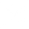 kp-logo-white